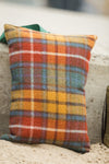 Kneeler.Garden / Picnic / TravelAntique Buchanan Tartan